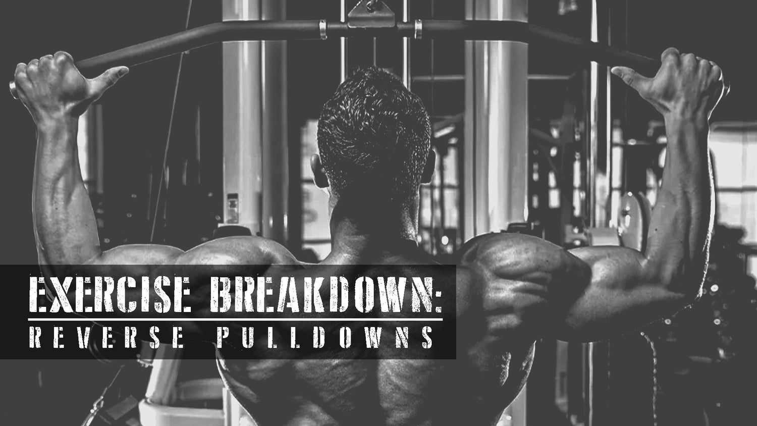 Exercise Breakdown: Reverse Pulldowns