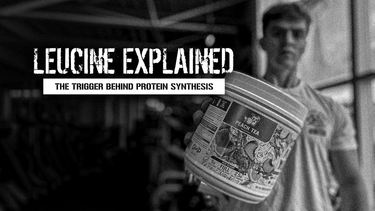 Leucine Explained - The Trigger Behind Protein Synthesis