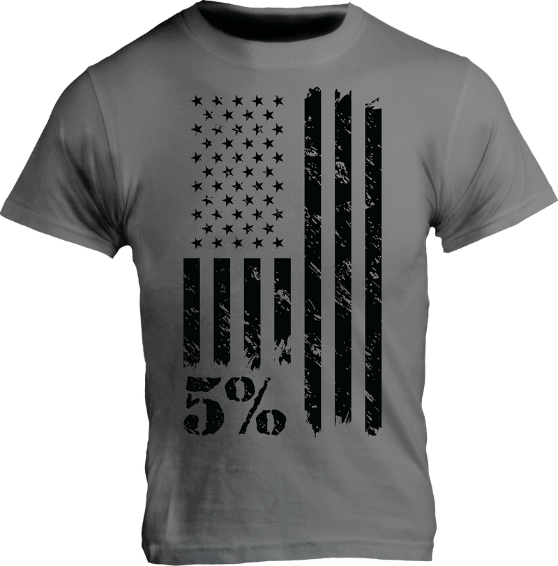 American Flag Graphic T-Shirt, Gray